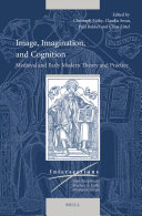 Image, Imagination, and Cognition