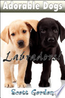 Adorable Dogs  Labradors Book PDF