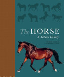 The Horse Book Debbie Busby,Catrin Rutland