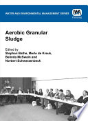 Aerobic Granular Sludge Book