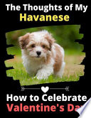 The Thoughts of My Havanese PDF Book By Brightview Activity Books