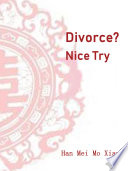 Divorce  Nice Try