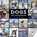 Dogs on Instagram Book