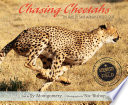 Chasing Cheetahs Book