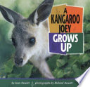 A Kangaroo Joey Grows Up