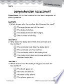 Are You My Mother  Comprehension Assessment Book
