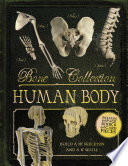 Bone Collection  Human Body