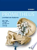 Prometheus LernPaket Anatomie: Schädel