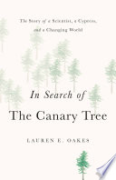 In Search Of The Canary Tree