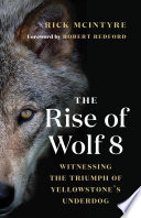 The Rise of Wolf 8 Book