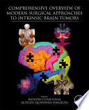 Comprehensive Overview of Modern Surgical Approaches to Intrinsic Brain Tumors Book