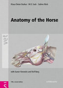 Anatomy of the Horse  Fifth  Revised Edition