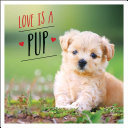 Love is a Pup