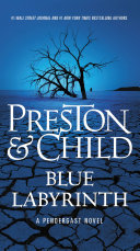 Blue Labyrinth Pdf/ePub eBook