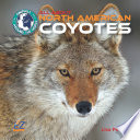 All About North American Coyotes