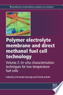 Polymer Electrolyte Membrane and Direct Methanol Fuel Cell Technology Book