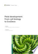 Petal Development  From Cell Biology to EvoDevo