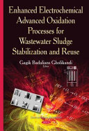 Enhanced Electrochemical Advanced Oxidation Processes for Wastewater Sludge Stabilization and Reuse Book