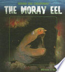 The Moray Eel