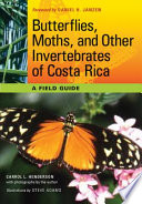 Butterflies  Moths  and Other Invertebrates of Costa Rica Book PDF