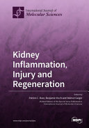 Kidney Inflammation  Injury and Regeneration