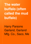 The Water Buffalo  often Called the Mud Buffalo 