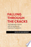 Falling Through the Cracks Book