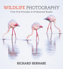 Wildlife Photography