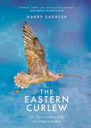 The Eastern Curlew