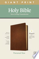 NLT Personal Size Giant Print Bible  Filament Enabled Edition