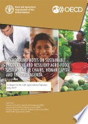 Background Notes on Sustainable  Productive and Resilient Agro Food Systems Value Chains  Human Capital  and the 2030 Agenda Book
