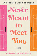 Never Meant to Meet You Book