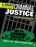 A Brief Introduction to Criminal Justice