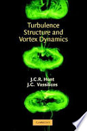 Turbulence Structure and Vortex Dynamics