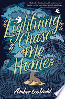 Lightning Chase Me Home Book