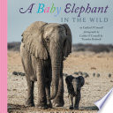 A Baby Elephant in the Wild Book PDF