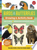Birds   Butterflies Drawing   Activity Book