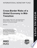 Cross-Border Risks of a Global Economy in Mid-Transition
