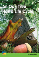 An Oak Tree Has A Life Cycle