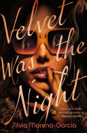 Velvet Was the Night poster