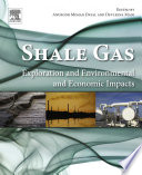 Shale Gas Book
