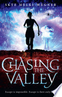 Chasing the Valley Book PDF