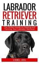 Labrador Retriever Training