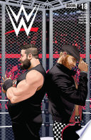 WWE  18 Book