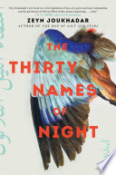 The Thirty Names of Night Book