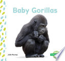 Baby Gorillas Book