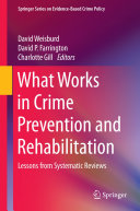 What Works in Crime Prevention and Rehabilitation: Lessons ...