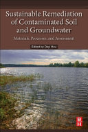 Sustainable Remediation of Contaminated Soil and Groundwater