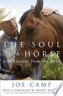 The Soul Of A Horse