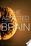 The Addicted Brain Book
